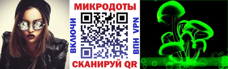 Галлюциногенные грибы Psilocybe  Анива 